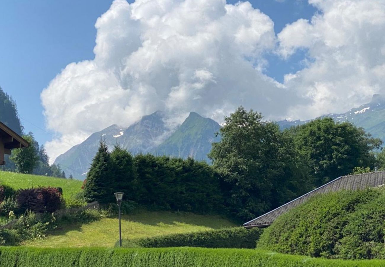 Ferienwohnung in Kaprun - Apartment Karen - great view of the glacier