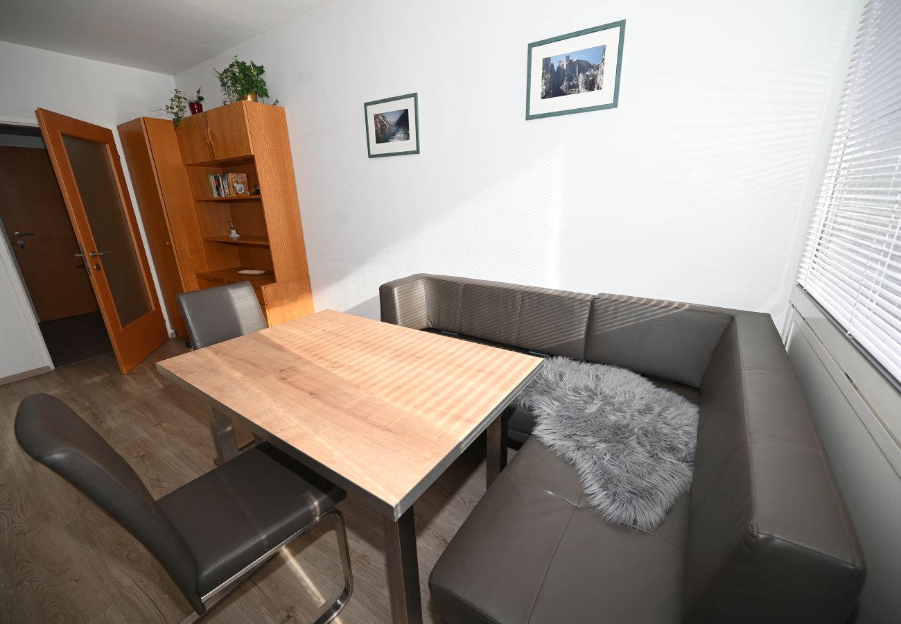 Ferienwohnung in Kaprun - Apartment  Mountain View Top 20