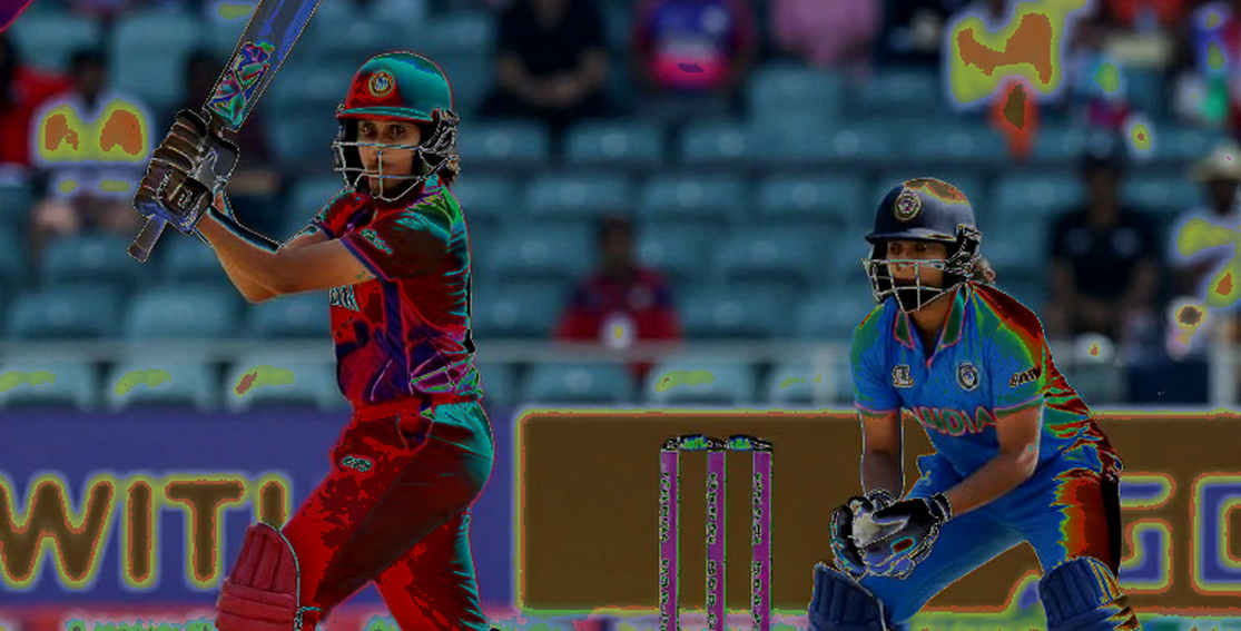 When Every Field in the Story Arrives Blank: Cricket's Information Economy and the Weight of a Null Result When Every Field in the Story Arrives Blank: Cricket's Information Economy and the Weight of a Null Result