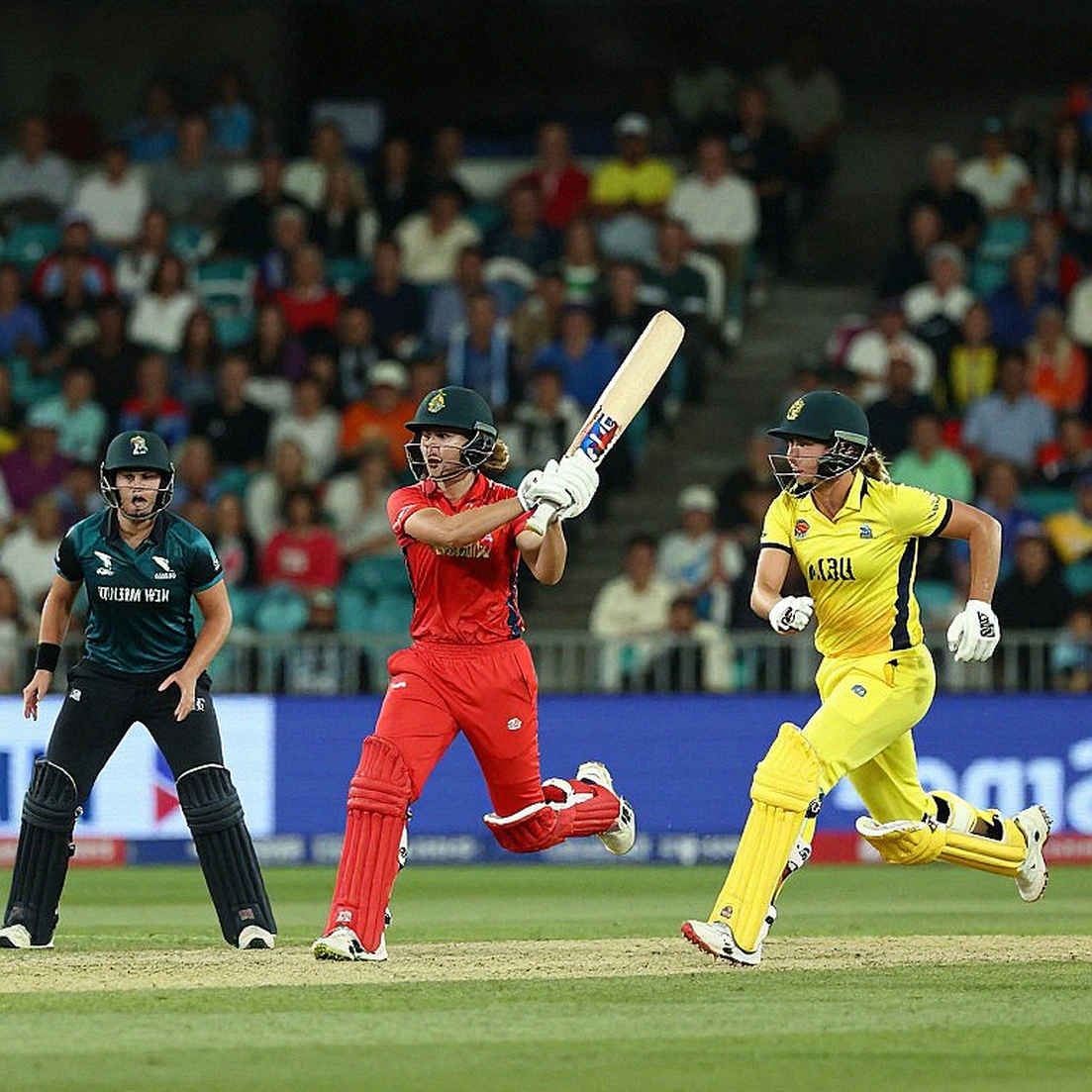An Empty Sheet With a Full Label: The Cricket Feed That Reported Success and Delivered Nothing