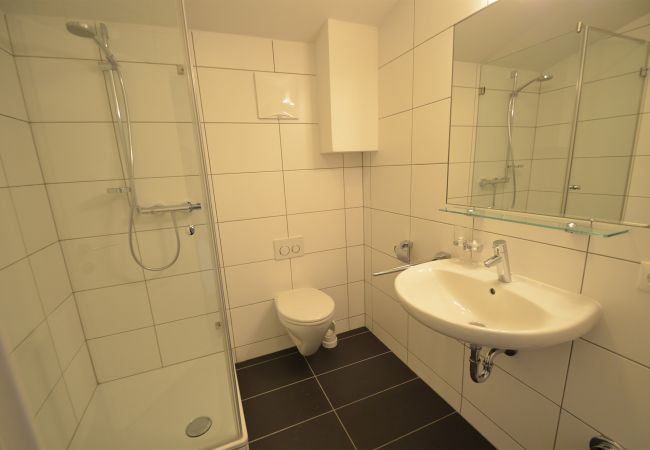 Apartment in Kaprun - Residence Alpin  - TOP 9 Apartment in Kaprun - Residence Alpin  - TOP 9