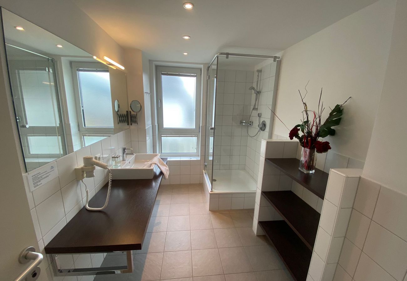 Condohotel in Kaprun - Apartment Jan Kitz View 14 Top 3