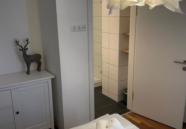 Apartment in Kaprun - Residence Alpin  - Top 1 Apartment in Kaprun - Residence Alpin  - Top 1