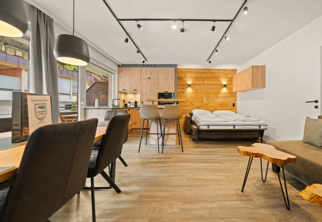 Apartment in Kaprun - Haus C Top 32 - Low Budget Apartment Apartment in Kaprun - Haus C Top 32 - Low Budget Apartment