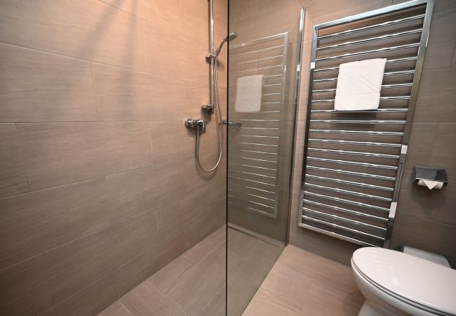 Apartment in Kaprun - Apartment  Mountain View Top20/ Summercard not inc Apartment in Kaprun - Apartment  Mountain View Top20/ Summercard not inc